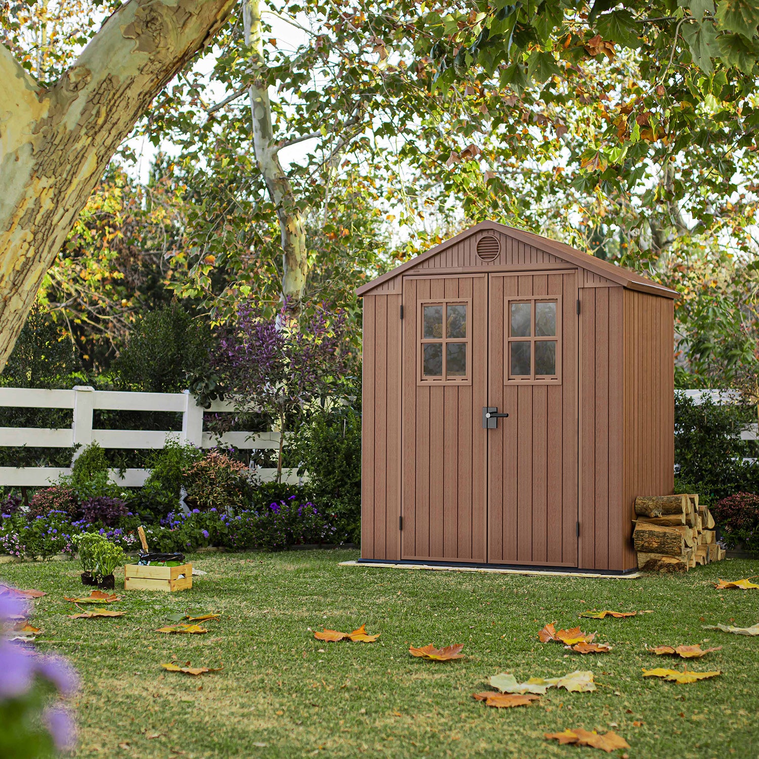 KETER - Casetta da giardino grande marrone Darwin 6x4 con finestre frontali - h221x190x122 cm